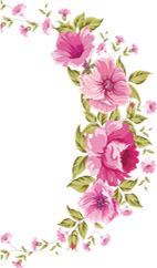 男士备孕补锌补硒（男性备孕吃什么锌硒宝）-硒宝网