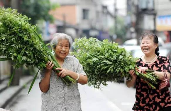 做艾灸补硒元素吗(富硒艾灸)-硒宝网