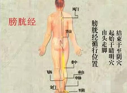 做艾灸补硒元素吗(富硒艾灸)-硒宝网