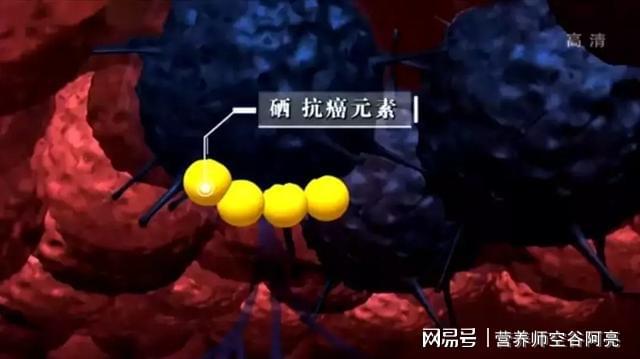 补硒胃肠功能混乱(胃肠功能混乱吃什么药呢)-硒宝网