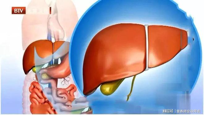 补硒胃肠功能混乱(胃肠功能混乱吃什么药呢)-硒宝网
