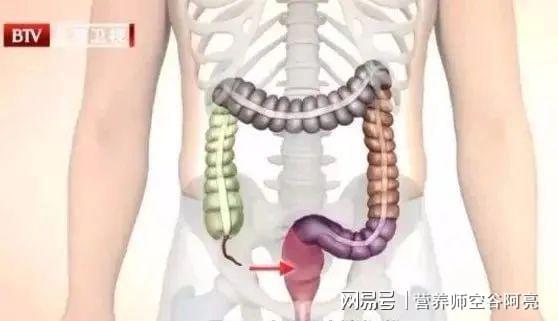 补硒胃肠功能混乱(胃肠功能混乱吃什么药呢)-硒宝网