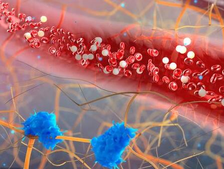 血粘稠可以补硒吗(补硒对贫血有什么作用)-硒宝网