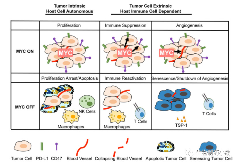 肺结节患者补硒吗（肺结节补硒）-硒宝网