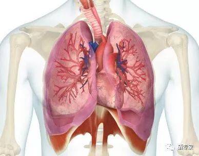 肺结节患者补硒吗(硒对结节有帮助吗)-硒宝网