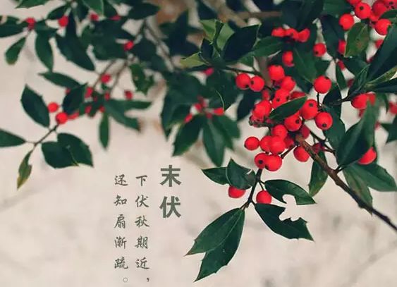 做艾灸补硒元素吗(补元素艾灸做硒鼓有用吗)-硒宝网