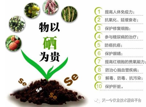 人今什么可以补硒(硒可以食补吗)-硒宝网