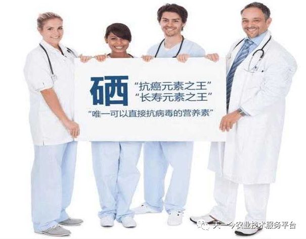 人今什么可以补硒(硒可以食补吗)-硒宝网