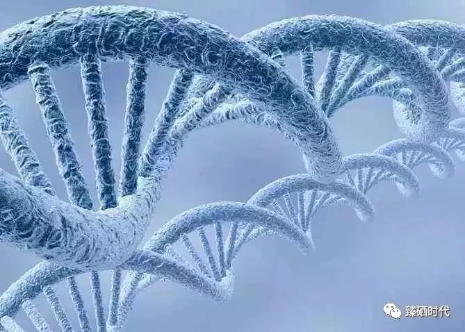 补硒可以去肌瘤吗（子宫肌瘤补硒可以不）-硒宝网