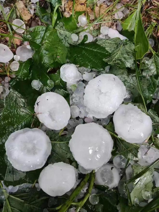 北京平谷大桃补硒(平谷大桃多少钱一斤)-硒宝网