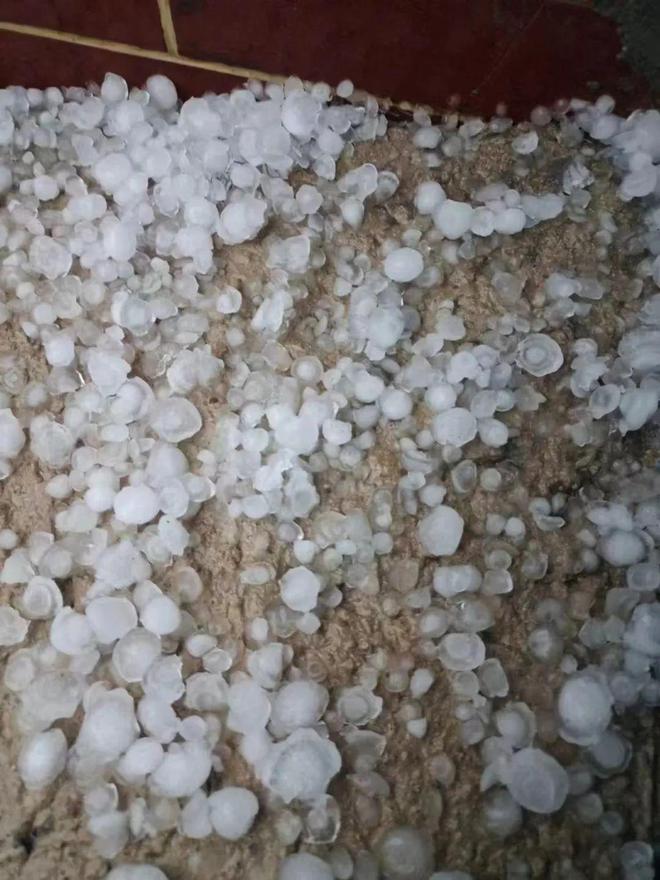 北京平谷大桃补硒(平谷大桃多少钱一斤)-硒宝网