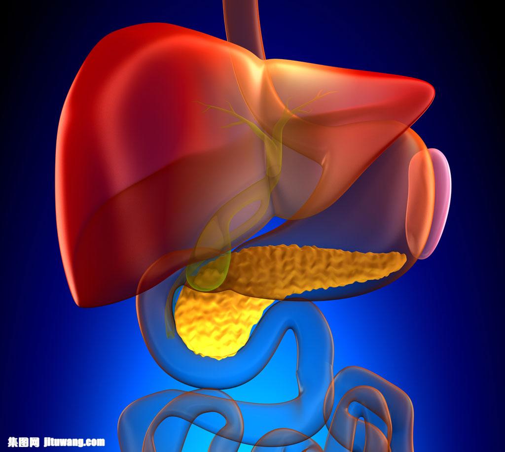 终身补硒健康生活（终身补硒健康生活）-硒宝网