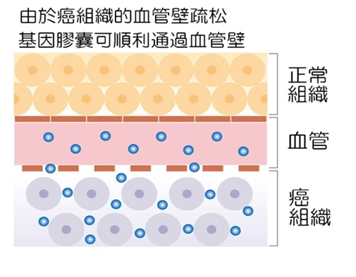补硒对脾脏有用么（补脾脏硒用有什么好处）-硒宝网