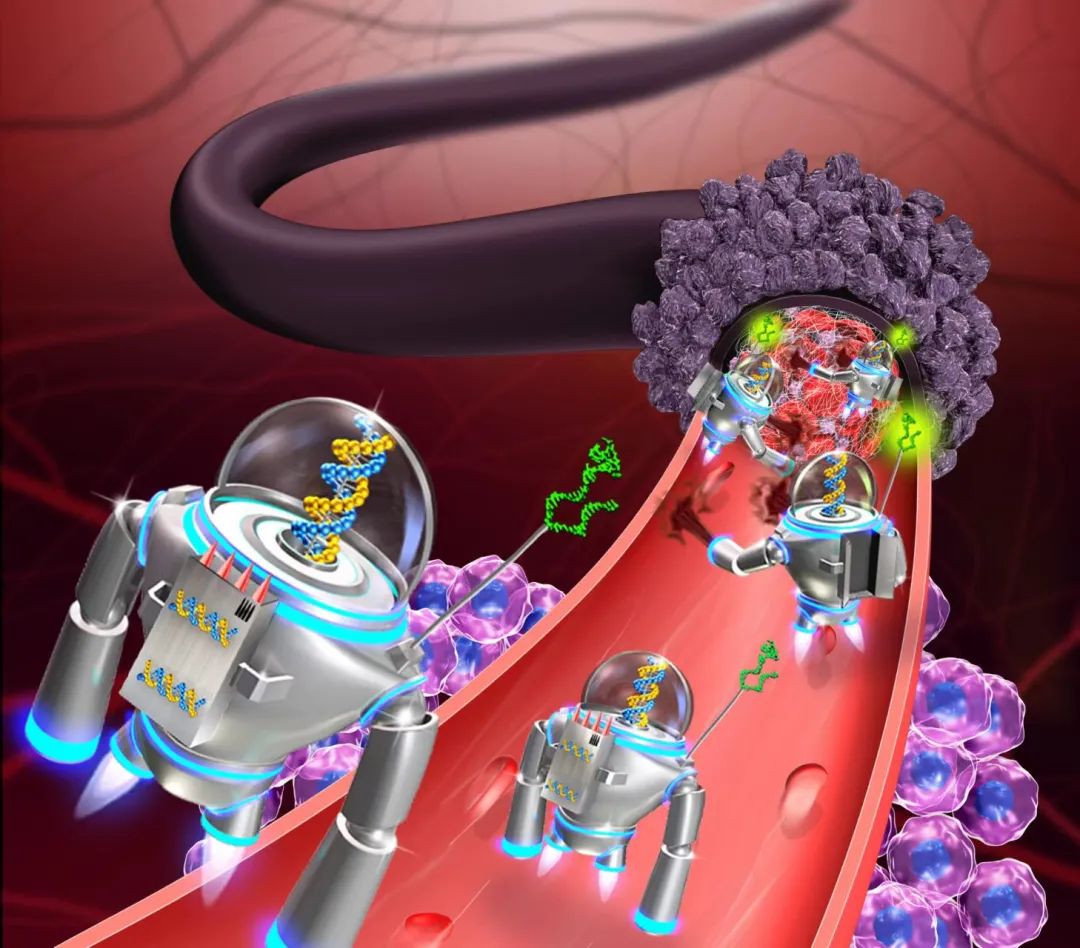 补硒对脾脏有用么（补脾脏硒用有什么好处）-硒宝网
