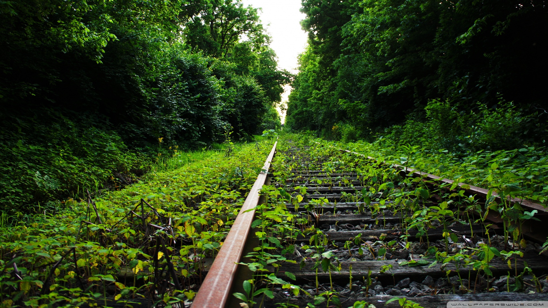 补硒对抑郁的好处(硒抑郁的作用)-硒宝网
