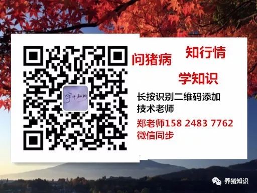 补硒能引起腹泻么（腹泻会导致缺锌吗）-硒宝网