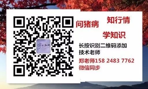 补硒能引起腹泻么（腹泻会导致缺锌吗）-硒宝网