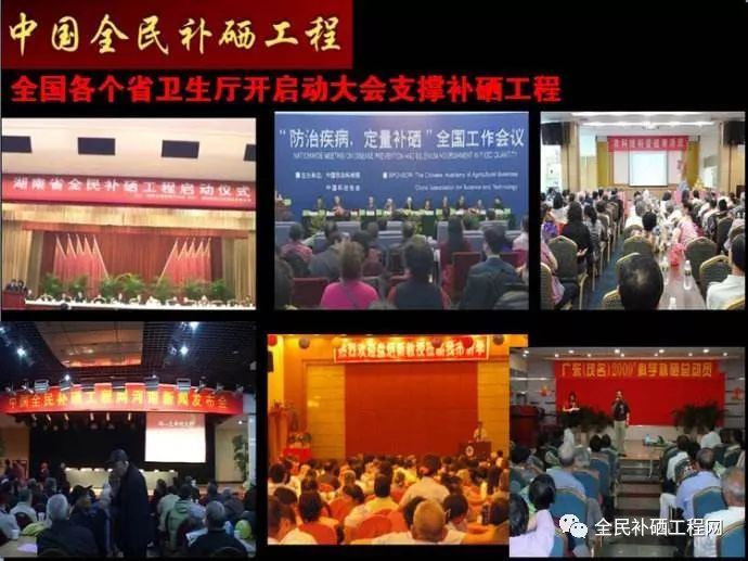 全民补硒有政策吗（全民补硒日是谁规定的）-硒宝网