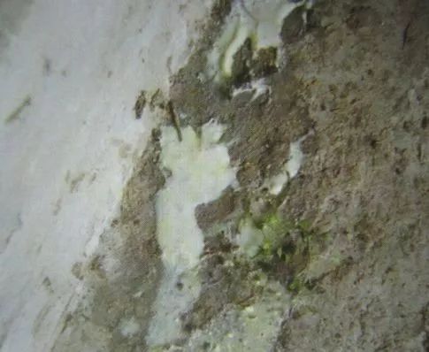 补硒能引起腹泻么（拉肚子能补硒吗）-硒宝网