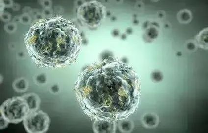 补硒能预防息肉吗（预防能补息肉硒吗）-硒宝网