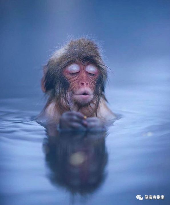 甲亢有必要补硒吗（甲亢补充硒有效果吗）-硒宝网