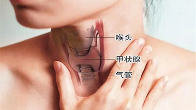 甲亢有必要补硒吗(甲亢需要补硒)-硒宝网