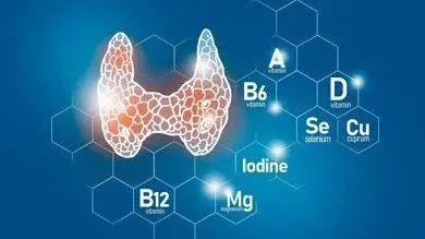 甲亢有必要补硒吗(甲亢需要补硒)-硒宝网