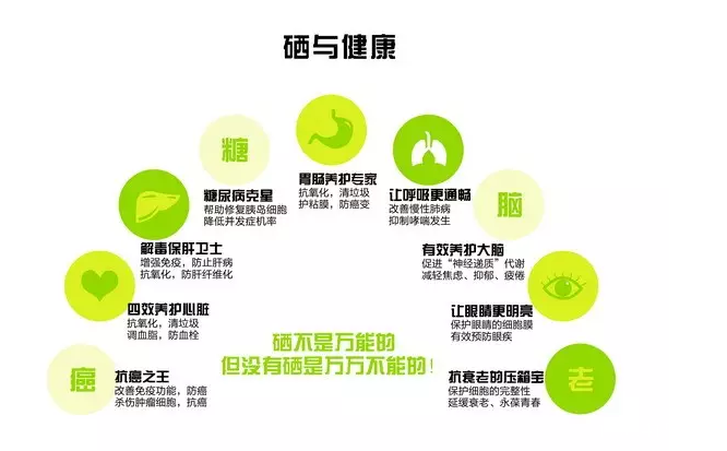 钙铁锌硒补激素吗(钙铁锌硒能长高吗)-硒宝网