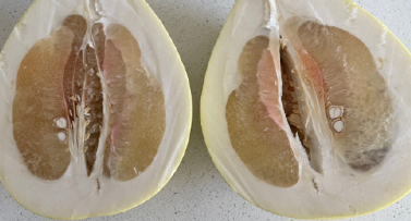 药物补硒买什么药（补硒的药有害处吗）-硒宝网