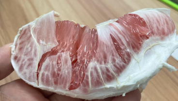 药物补硒买什么药（补硒的药有害处吗）-硒宝网