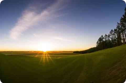 补硒保健法尔诺德（法尔诺德硒片有必要补吗）-硒宝网