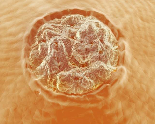 补硒对尖锐有用么（补硒可以治疗hpv吗）-硒宝网