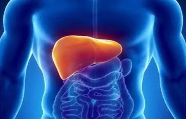 补硒会影响脾胃吗（缺硒会导致胃炎吗）-硒宝网