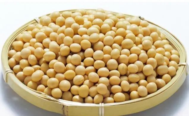 甲减补硒月经推迟（月经推迟补硒甲减吃什么药）-硒宝网