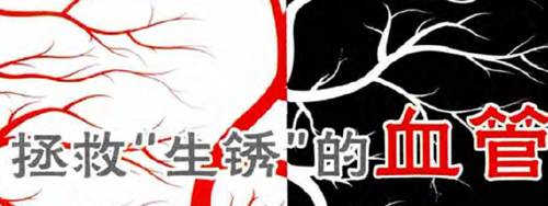 补硒是碱性食物吗(硒属于碱性还是酸性)-硒宝网