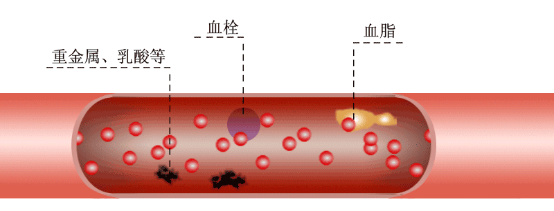 补硒是碱性食物吗(硒属于碱性还是酸性)-硒宝网