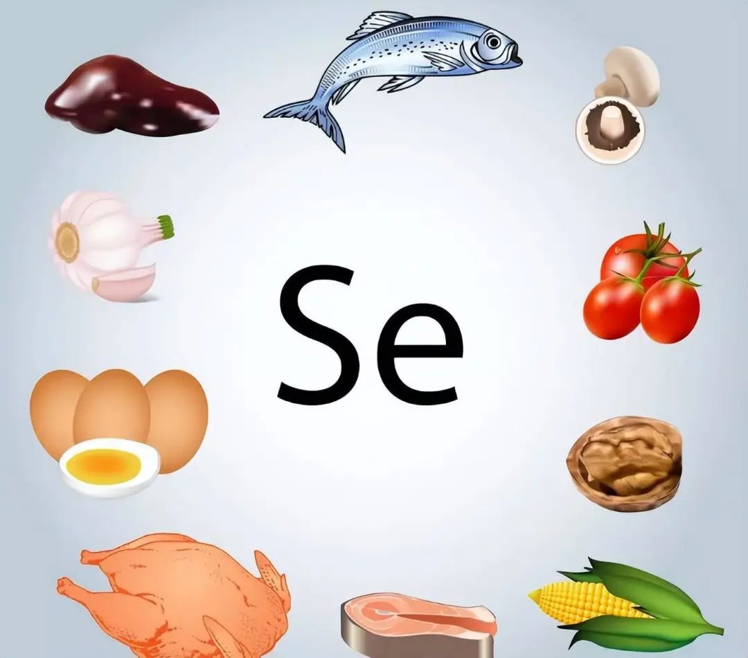 补硒是碱性食物吗（碱性补品有哪些）-硒宝网