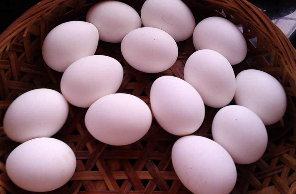 补硒是碱性食物吗（碱性补品有哪些）-硒宝网