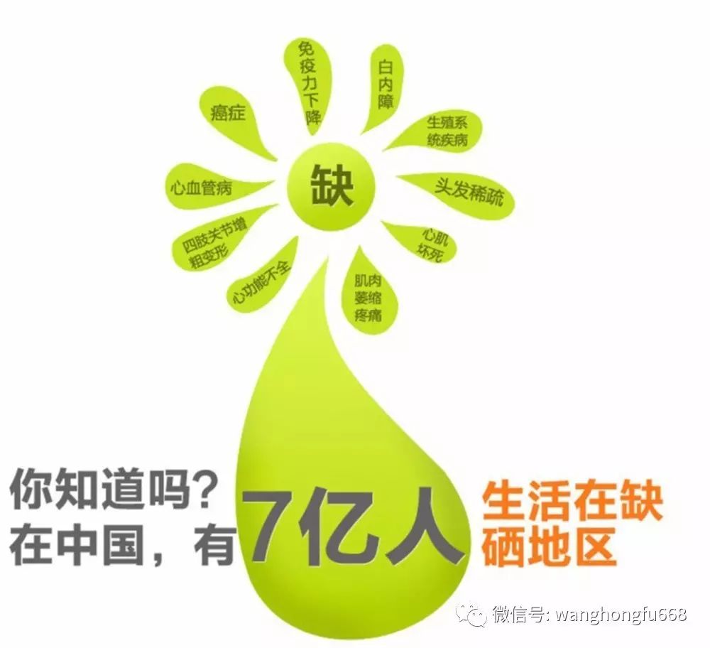 补硒和补钙的关系(补硒和补钙能一起吃吗)-硒宝网