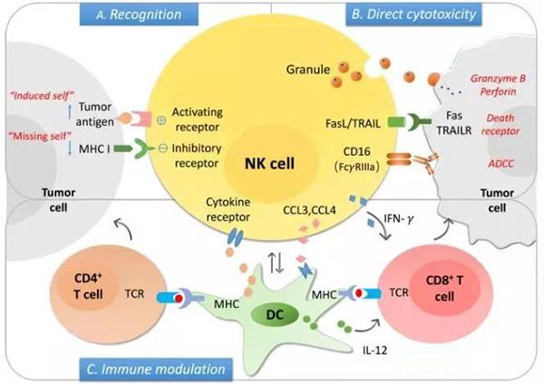 补硒药吃什么症状(吃了补硒药不良反应)-硒宝网