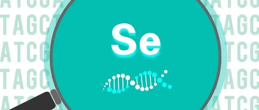 人体有必要补硒吗（必要人体补硒有什么作用）-硒宝网