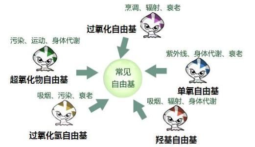 人体有必要补硒吗(人需要补充硒元素吗)-硒宝网