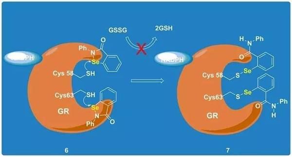 人体有必要补硒吗(人需要补充硒元素吗)-硒宝网