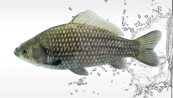 补硒对烟民的好处（抽烟补硒）-硒宝网