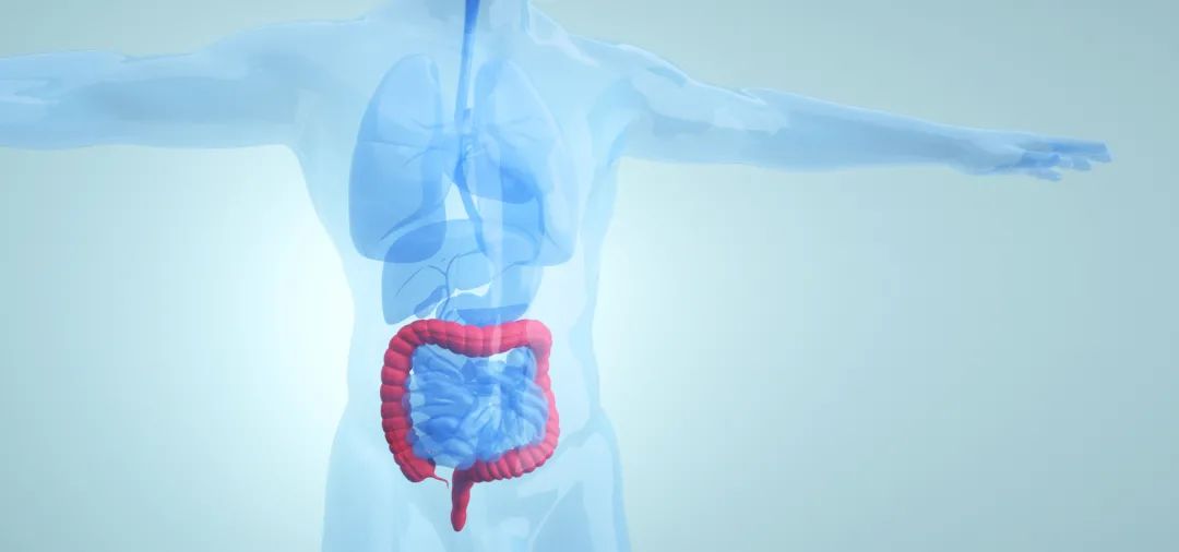 肺结节补硒的好处（肺结节吃硒有用么）-硒宝网