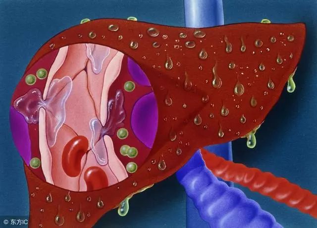 肝脏不好要补硒吗(补硒对肝脏的好处吗)-硒宝网