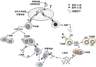 补硒对癌胚胎抗原(癌胚抗原吃什么食物可以改善)-硒宝网