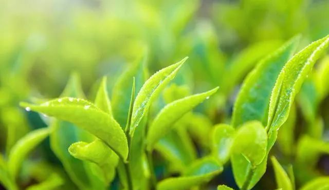 补硒大便颜色变深(大便补颜色变硒怎么回事)-硒宝网