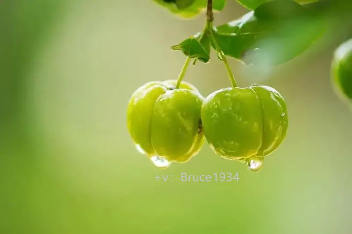 补硒能治疗肠炎吗(能补治疗肠炎硒片的药吗)-硒宝网