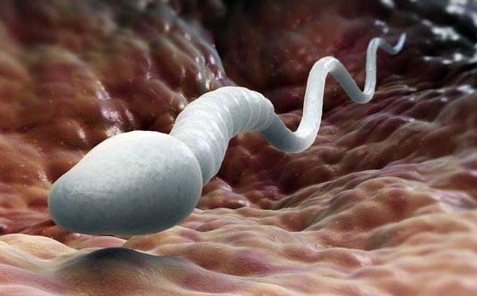 男生备孕每天补硒(男人要补硒吗)-硒宝网